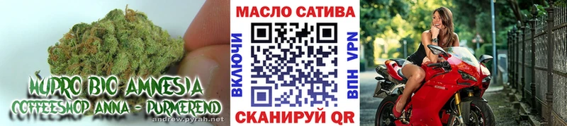 что такое наркотик  Биробиджан  ТГК жижа 